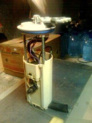 IMG0002A.jpg