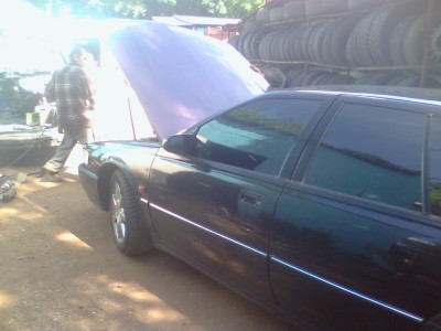 picture_00006.jpg