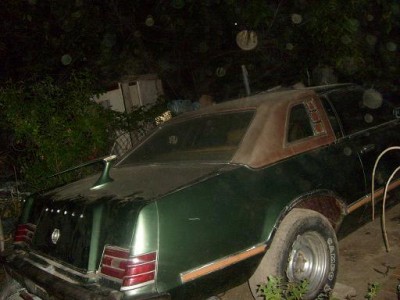 S6309599.JPG