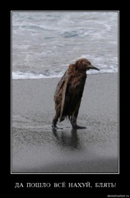 125063295986_x_5ea5f40d.jpg (25.94 КБ) 2184 просмотра 125063295986_x_5ea5f40d.jpg