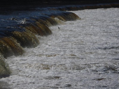 IMO000154.JPG (260.98 КБ) 2920 просмотров 14.04.2009