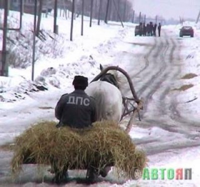 101194_136997[1].jpg